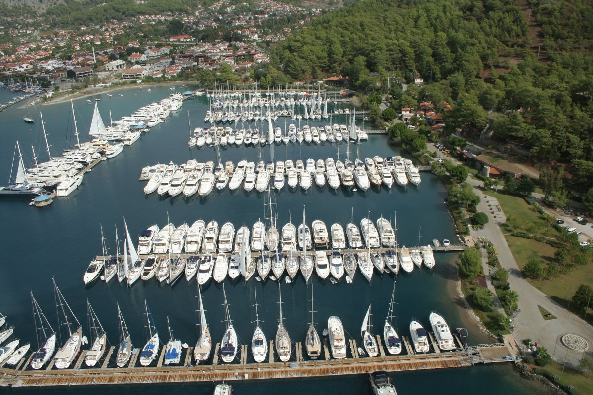 D MARIN MARINALAR GRUBU