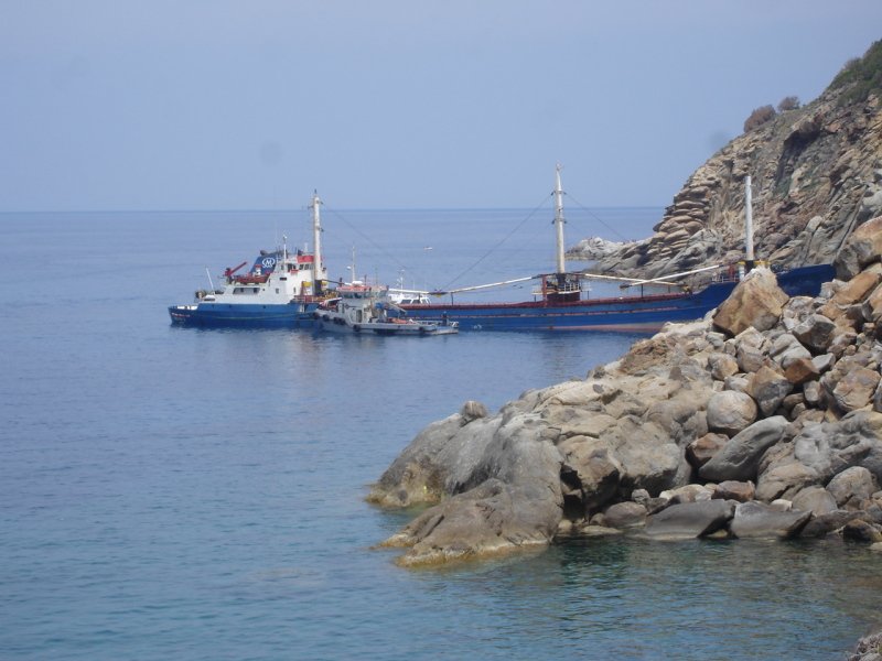 MERSA 2 ELBE ADASINA CIKTI