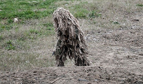 NORFOLK EXPRESS KARAYA OTURDU