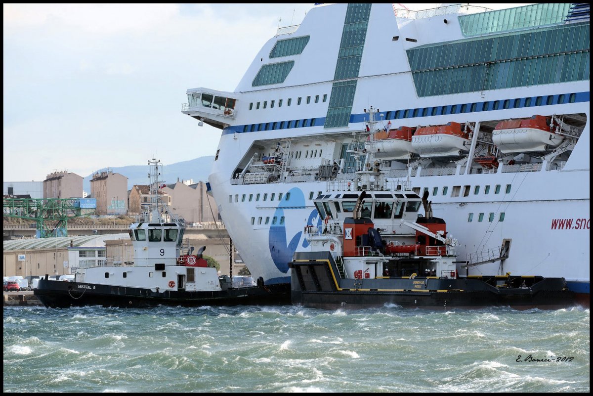 NAPOLEON BONAPARTE MARSILYA LIMANINDA