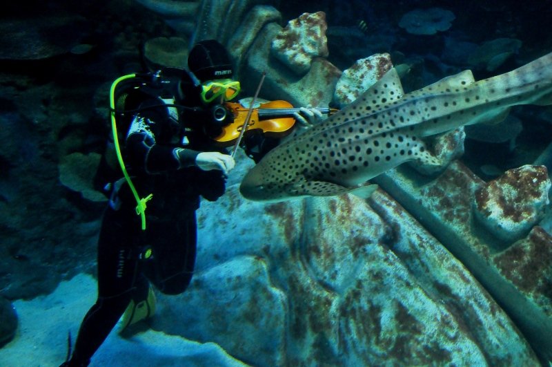 LIMAN KONGRESI DOKUZ EYLULDE YAPILDI
