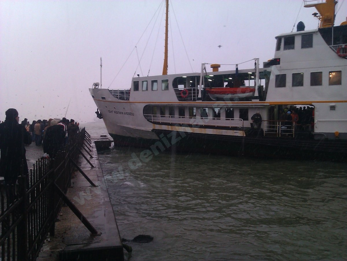 MUSTAFA AYDOGDU KAZASI