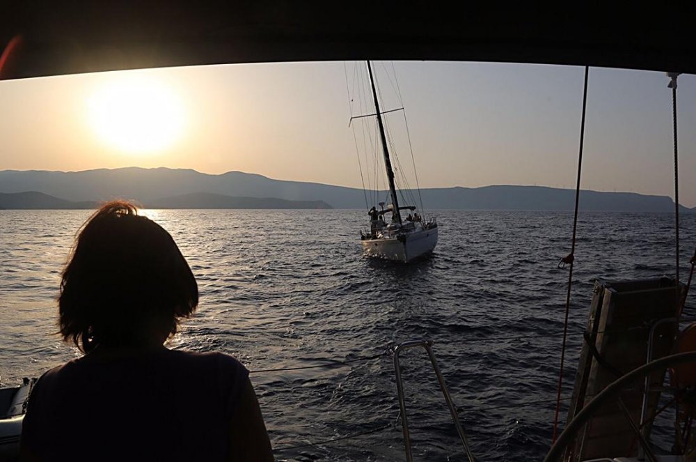 GAZZEYE OZGURLUK FILOSU YOLDA