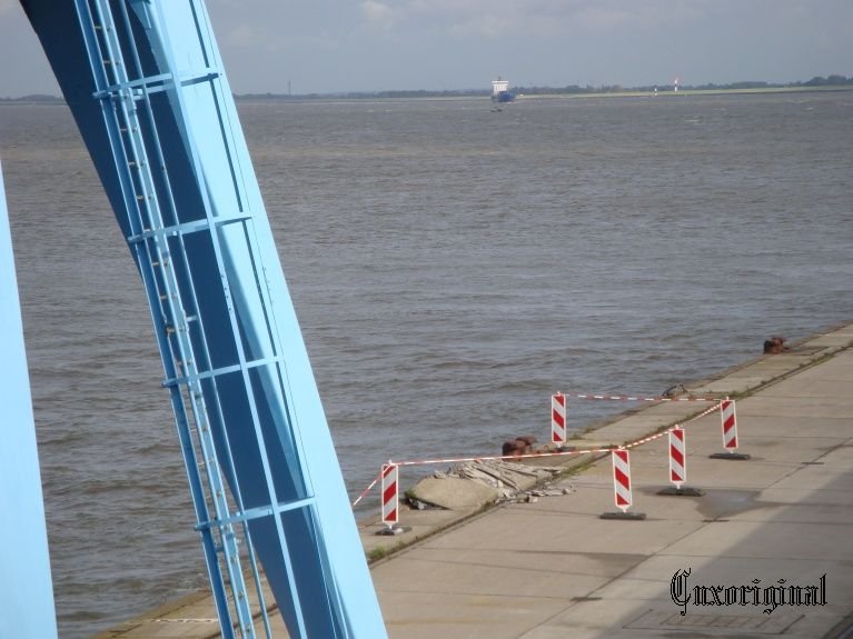 FIONIA SWAN YOLA CIKTI