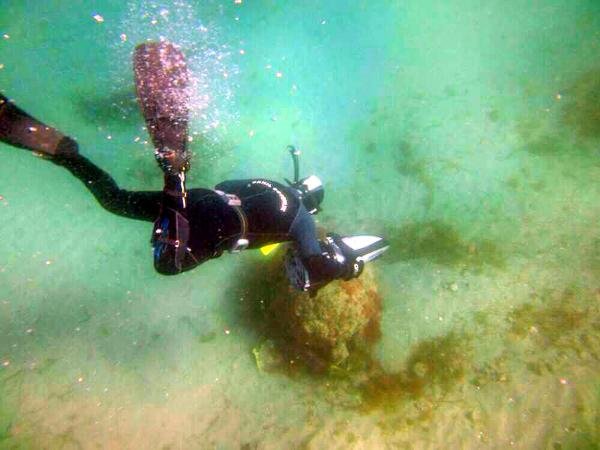 DENIZIN ALTINDA ESRARENGIZ CISIM