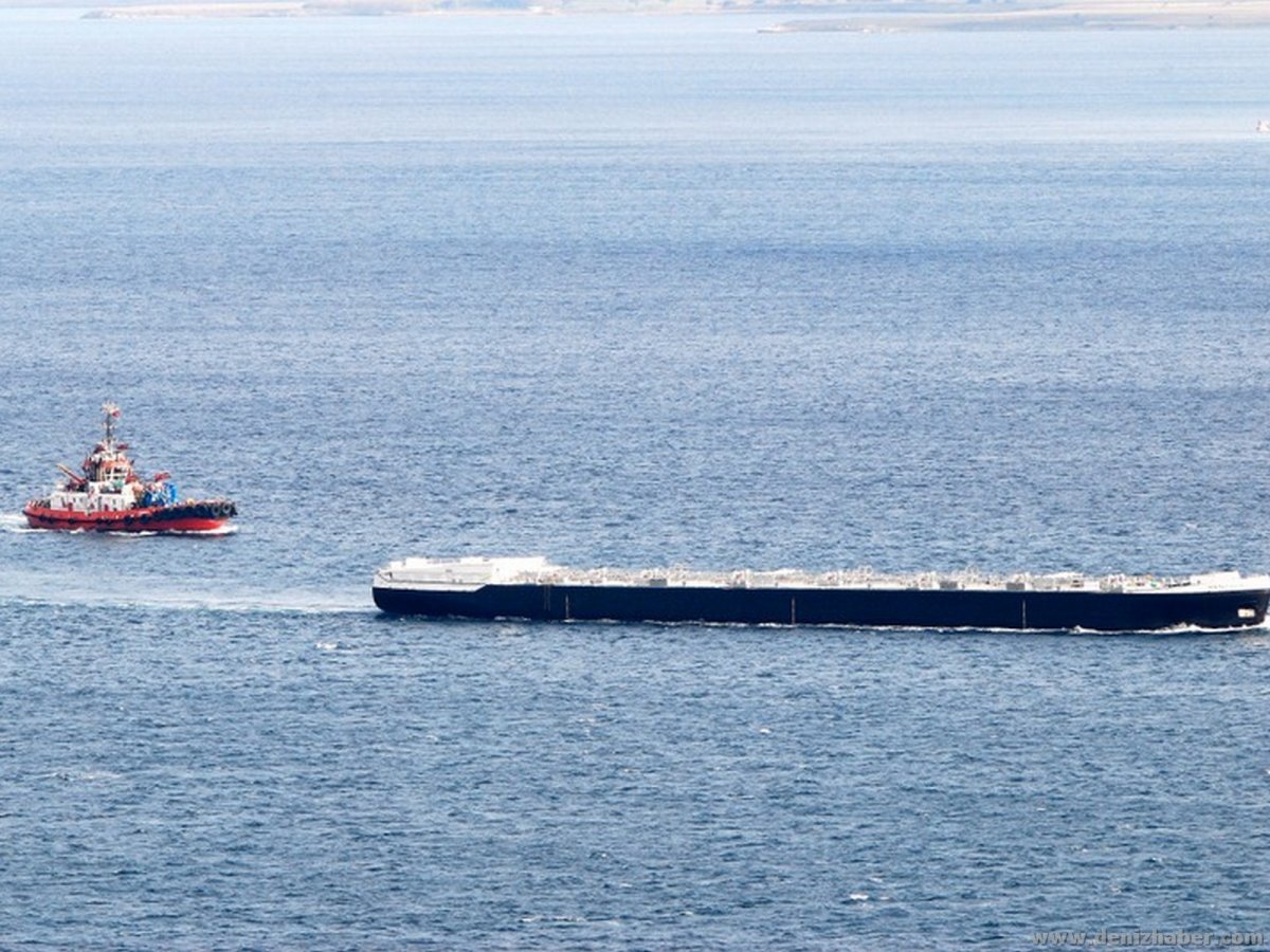 MAYIN TARAMA GEMILERI