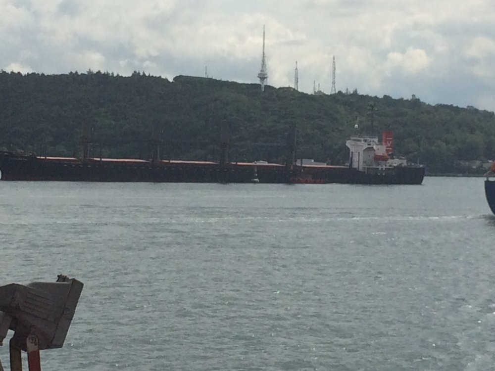 EL CONDOR PAS KARAYA OTURDU