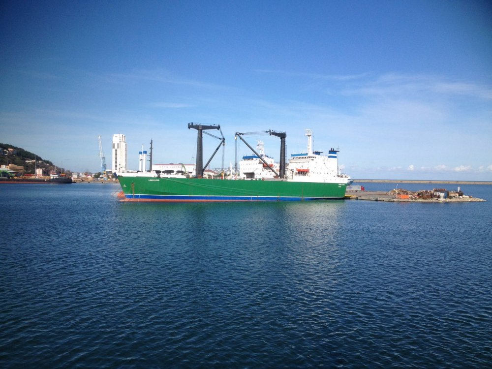 SAMSUN LIMANINDA LAID UP