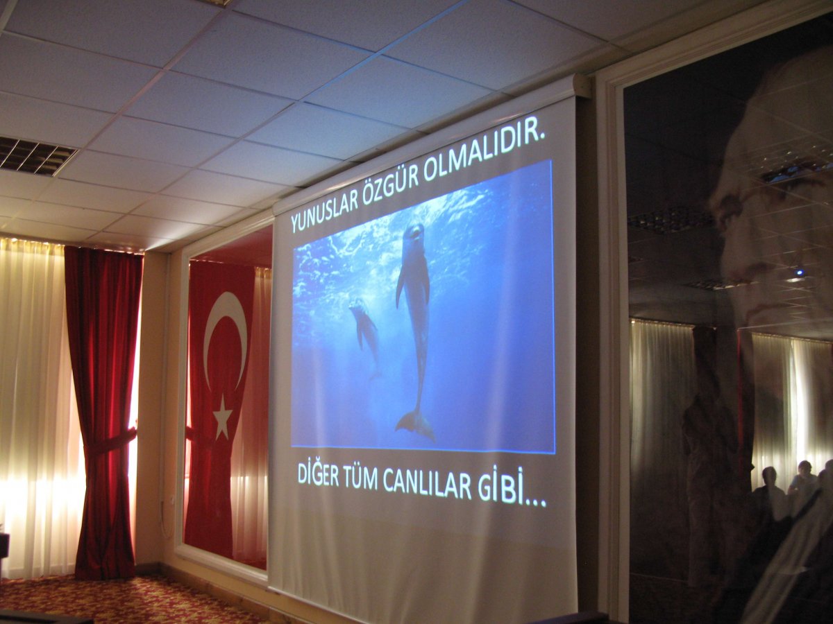 TUTSAK YUNUSLARIN GERCEK HAYATI