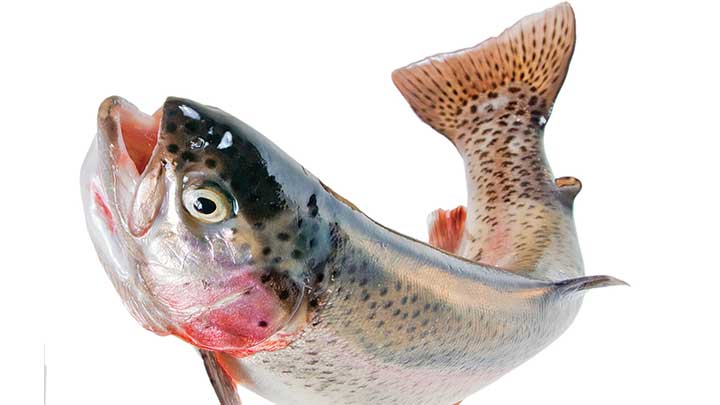 Amerika ve Rusya Seferine Çıkıyor