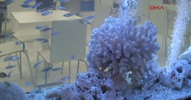 Uluslararası Deniz Ürünleri Fuarı Başladı