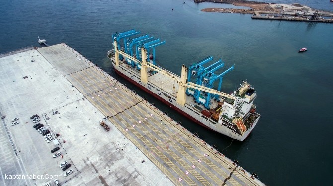 Aliağa'ya 20 katlı apartman yüksekliğinde 2 dev vinç