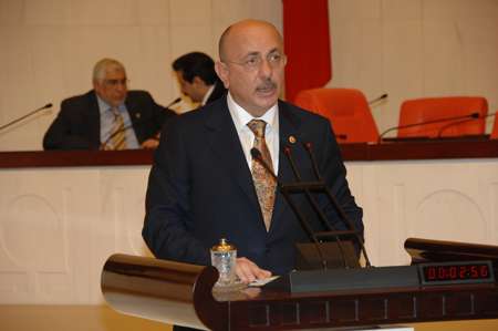 MHP Raporu: &quot;2010 daha vahim olabilir&quot;