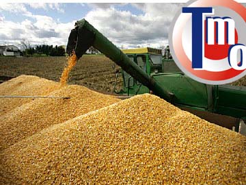 TMO, 200 bin ton arpa taşıtacak