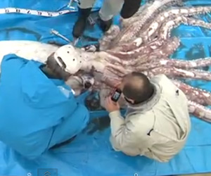 O Hikayeler Yanlış Değilmiş!