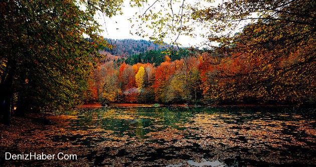 Yedigöller Milli Parkı Fotoğrafçı Akınına Uğradı
