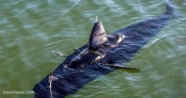 ABD Elektronik Balık Geliştirdi