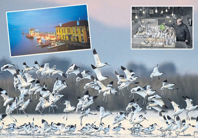 Lucien Arkas’tan yarınlara miras