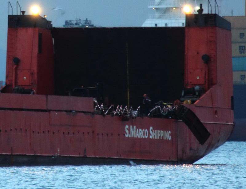 Dev kreyn denize böyle düştü...