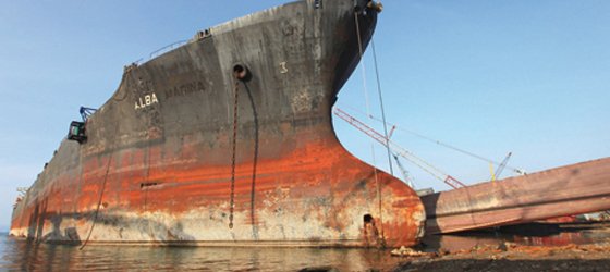 Çevre Canavarı 8 ay bekletilmiş