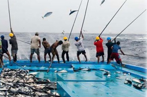 İşte O Balıkçılar ve Avlanma Yöntemleri
