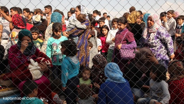 Danimarkalı gönüllüler sığınmacıları bedava taşıyacak