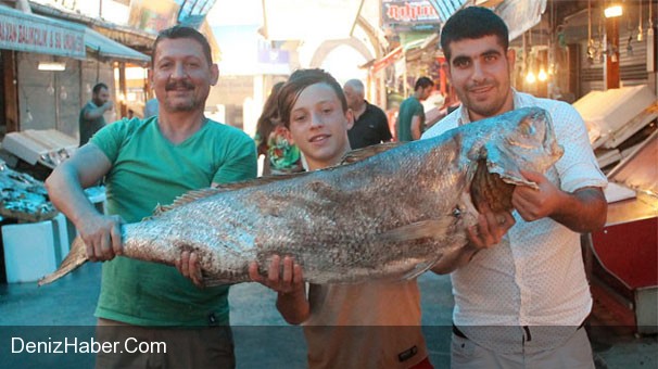 2 Metre Boyunda 100 Kg Ağırlığında