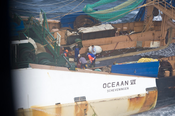 Talihsiz balıkçı kurtarılamadı...