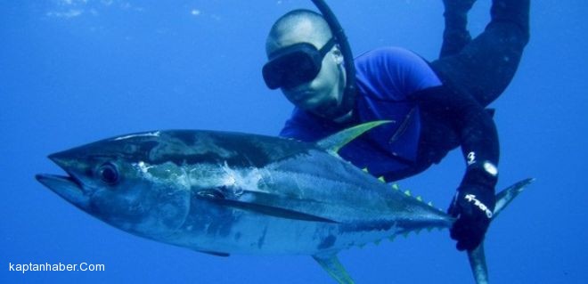 Şampiyonanın finali, 3-4 Temmuz'da Bandırma'da yapılacak