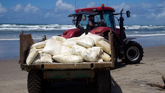 İkiye ayrılan Rena'nın yükü kıyıya vuruyor