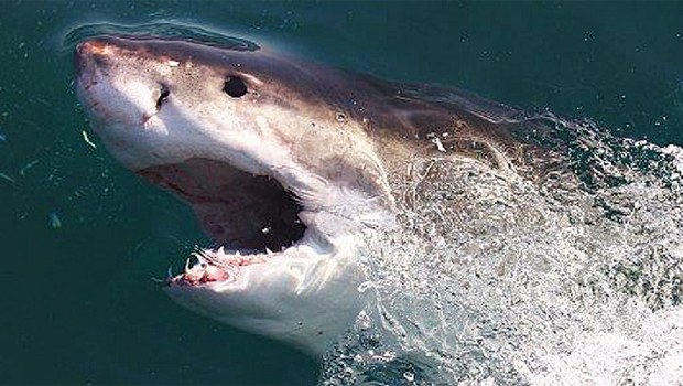 Christine Armstrong,Yüzerken Kayboldu