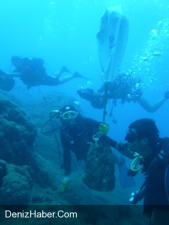 Tunç Çağı&#039;na Ait Liman Kalıntıları Bulundu