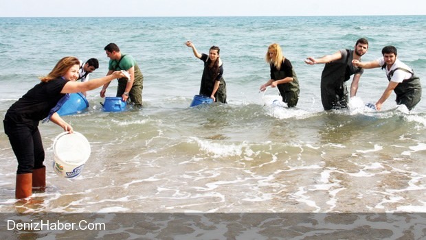 5 Bin Levrek ve Çipurayı Denize bıraktılr