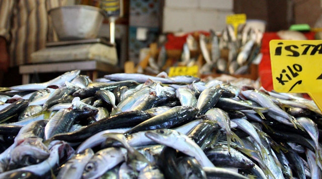 Balık Bereketi Tezgahları Süsledi