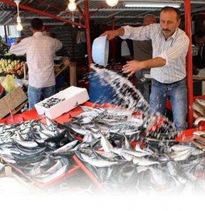 Balıkçılardan Bir İyi Birde Kötü Haber Geldi