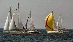 Bebek Parkuru'nda gerçekleştirilecek...