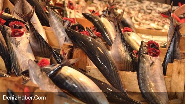 Vatandaş da Balıkçılar da Memnun