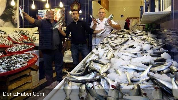&quot;Sakin Kardeşler&quot; Lüfer Sürüsüne Rastladı