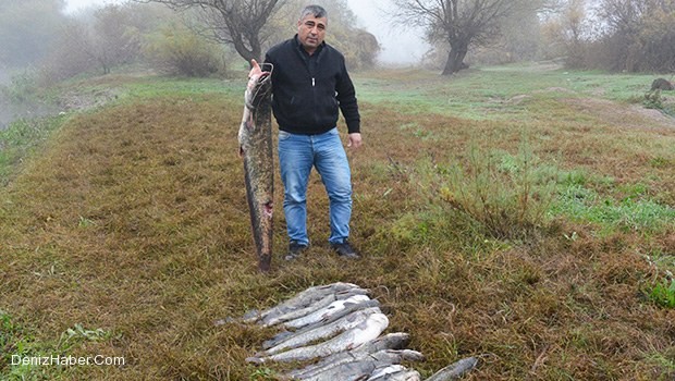 Toplu Balık Ölümleri Endişe Yarattı