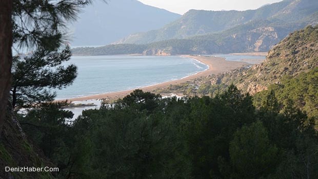 Bakanlık&#039;tan flaş İztuzu açıklaması
