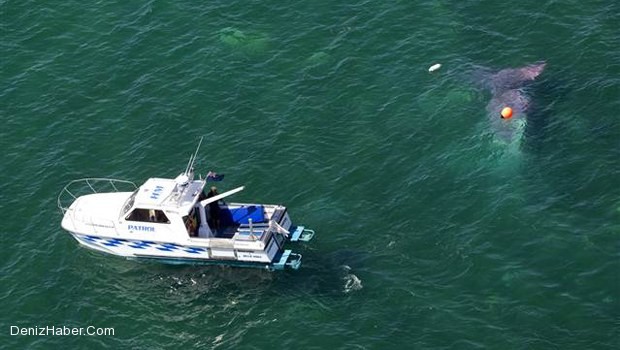 Uçak göle düştü herkes kurtuldu