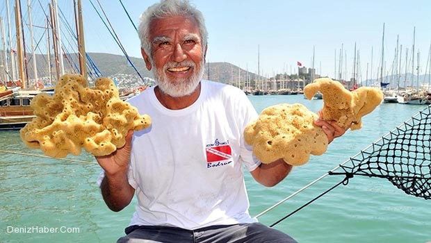 ‘Son Süngerci - Derin Maviye Adanmış Bir Ömür’