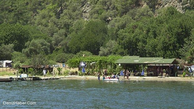 Gülen, Koyları 29 Yıllığına Kiraladı