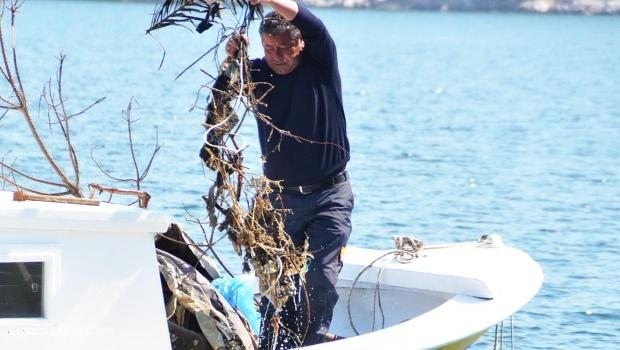 Sosyete Plajı Dehşete Düşürdü