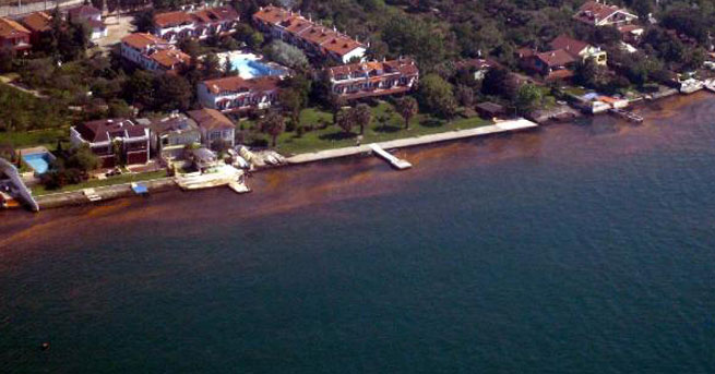 Kaplan: Körfez&#039;den Çıkan Balık Yenmez