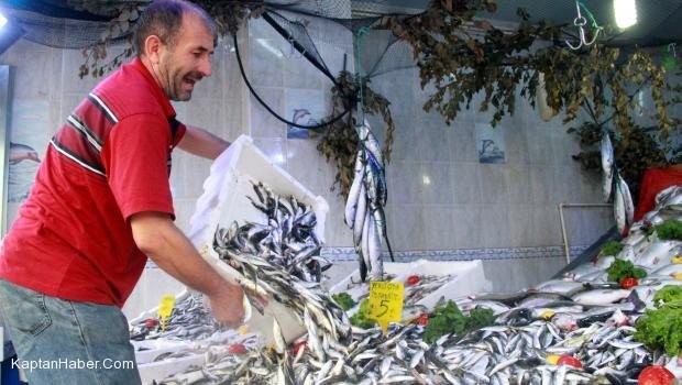 İstavrit balıkçının yüzünü güldürdü