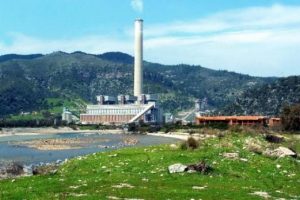 Cennet koyun kalbine liman tepkisi