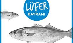 Lüfer Bayramı&#039;nın İkincisi Kutlanıyor