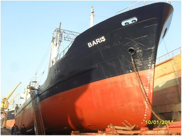 Türkiye Sahip Çıktı, Gürcülere Kaptırmadık