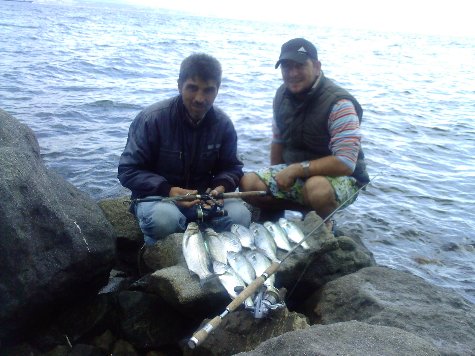 Çanakkale'de Lüfer Bayramı